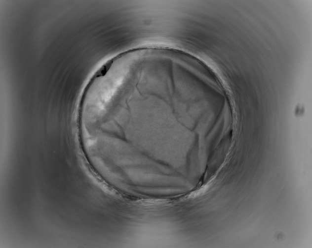 X0000099450864200806061104