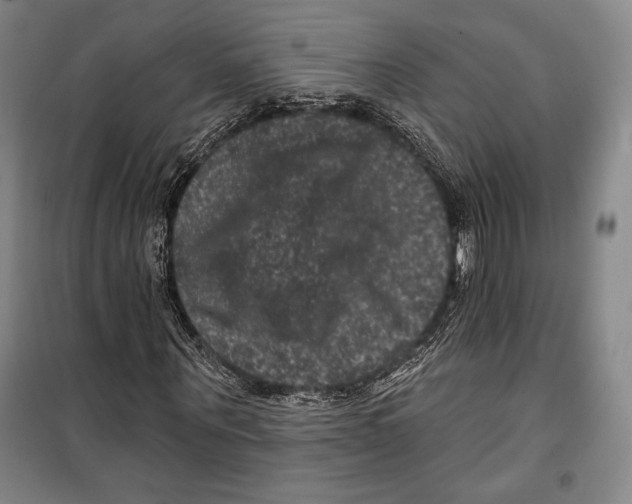 X0000099450867200806061103