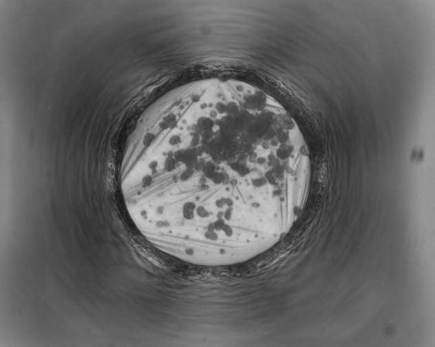 X0000099450868200806061103