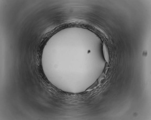 X0000099450869200806061103