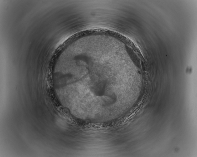 X0000099450871200806061103