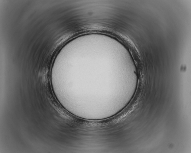 X0000099450873200806061103