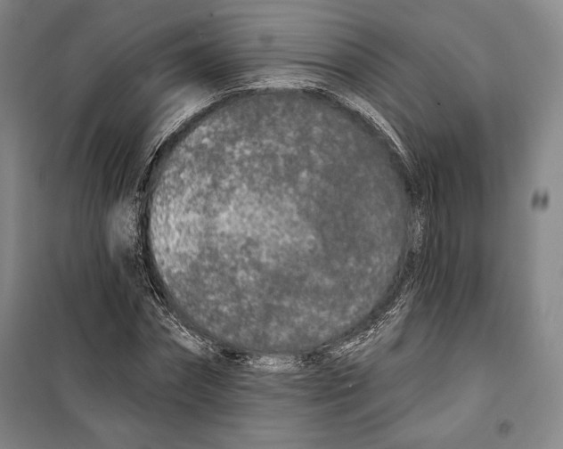 X0000099450874200806061103