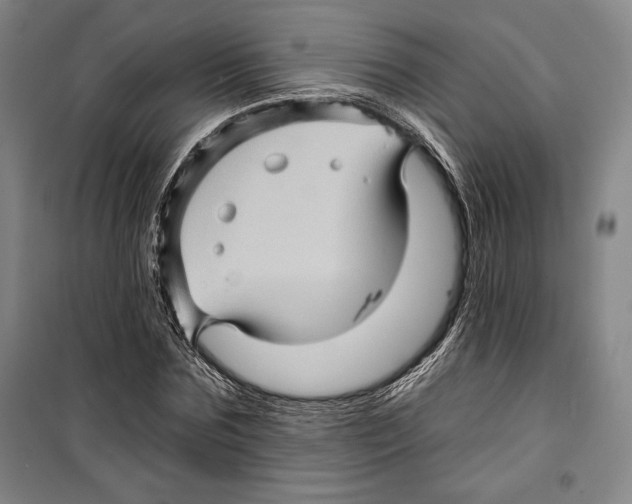 X0000099450875200806061103