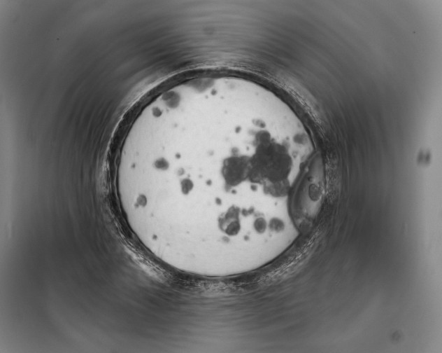 X0000099450876200806061103