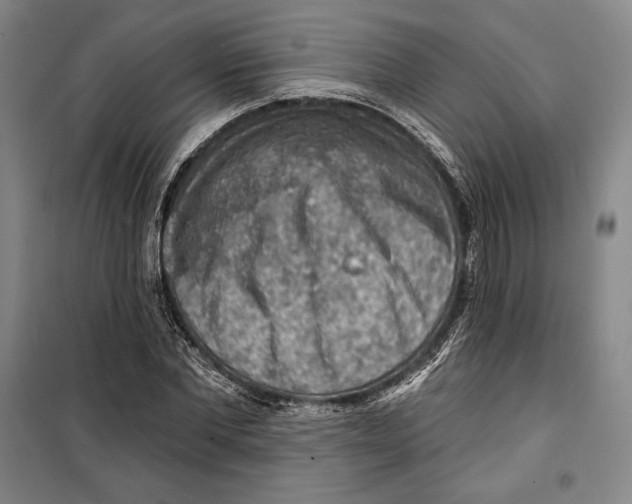 X0000099450877200806061103