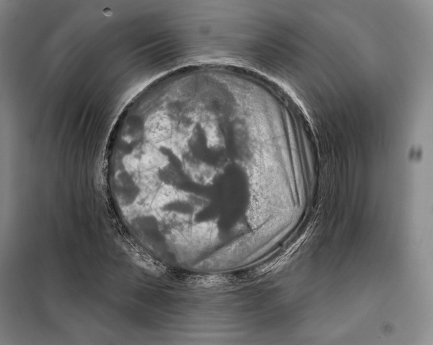 X0000099450879200806061103