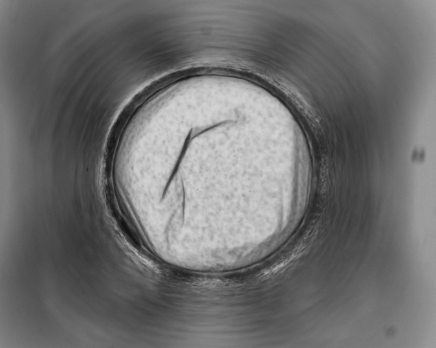 X0000099450880200806061103