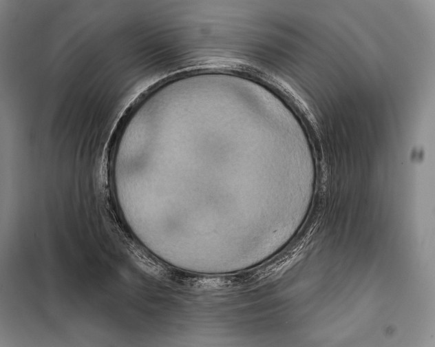 X0000099450883200806061103