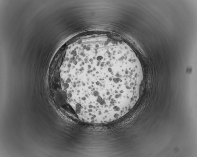 X0000099450884200806061103