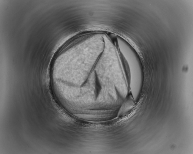 X0000099450885200806061103