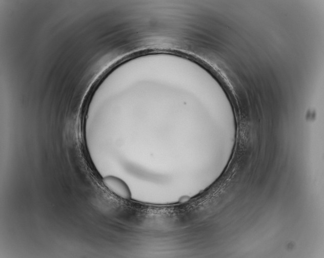 X0000099450887200806061103