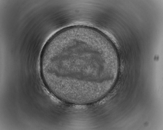 X0000099450888200806061103