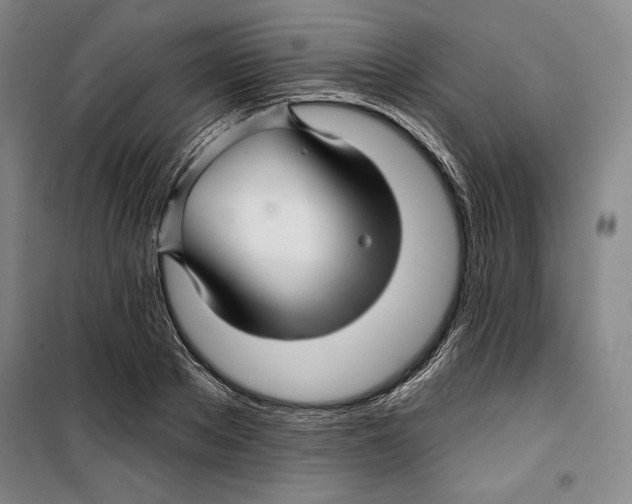 X0000099450889200806061103