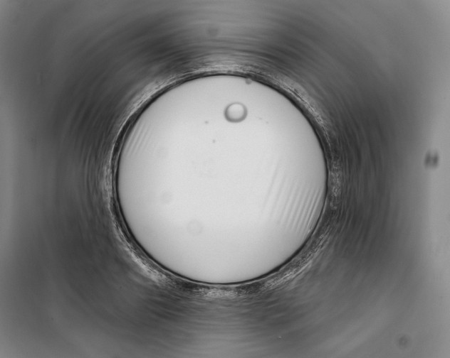 X0000099450890200806061103