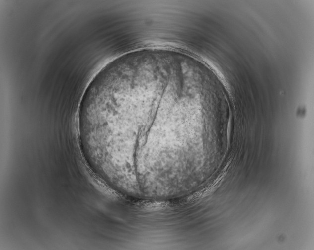 X0000099450891200806061103