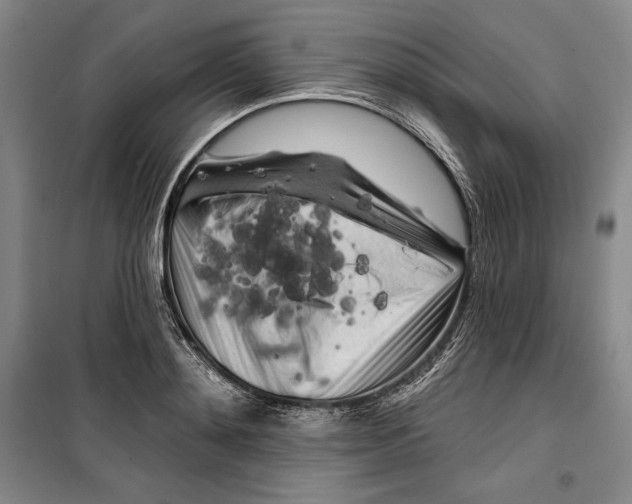 X0000099450892200806061103