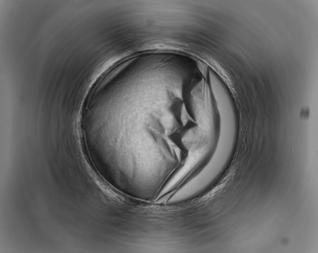 X0000099450893200806061103