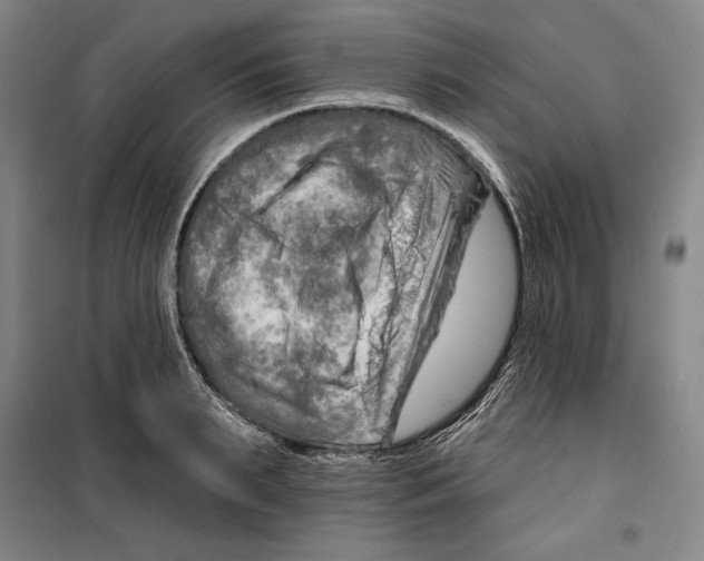 X0000099450895200806061103