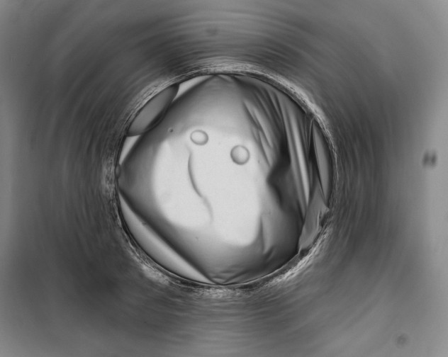 X0000099450897200806061103