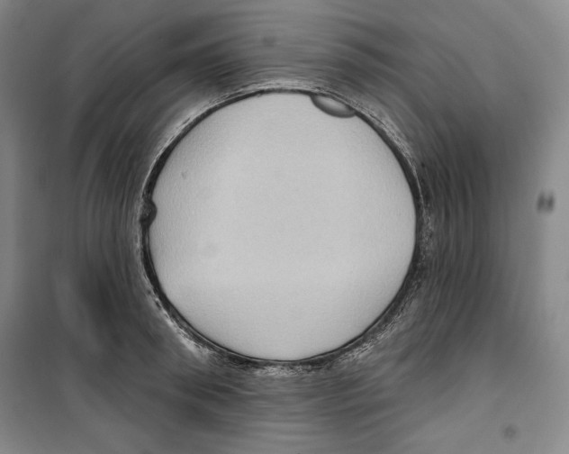 X0000099450898200806061103