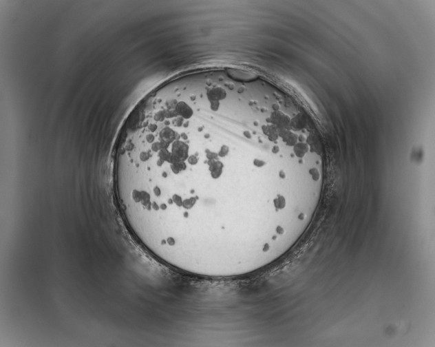 X0000099450900200806061103