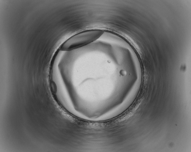 X0000099450901200806061103