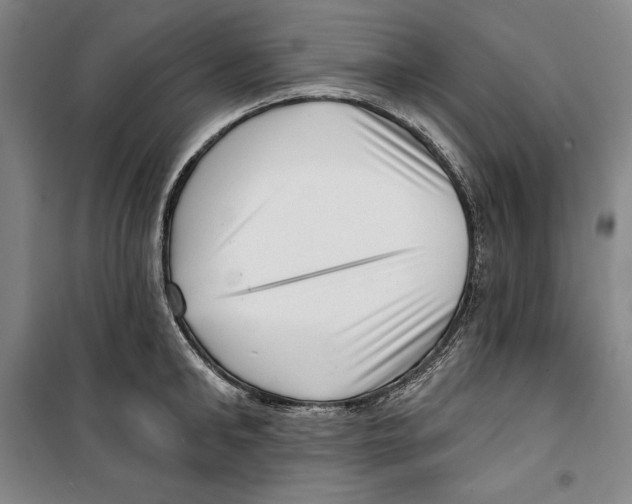 X0000099450902200806061103