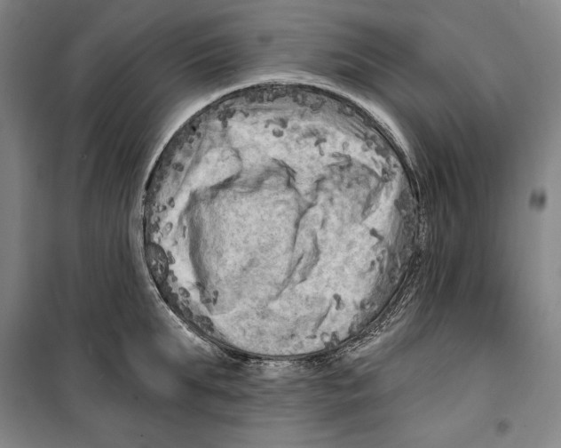 X0000099450903200806061103