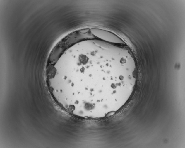 X0000099450904200806061103