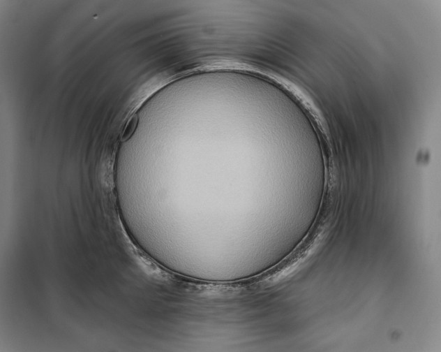 X0000099450905200806061103