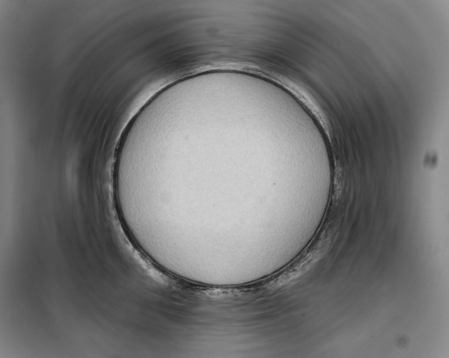 X0000099450906200806061103