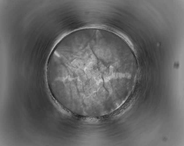 X0000099450907200806061103