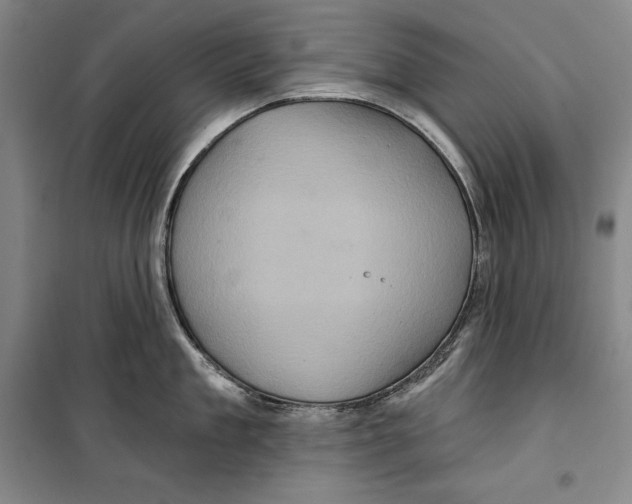 X0000099450909200806061103