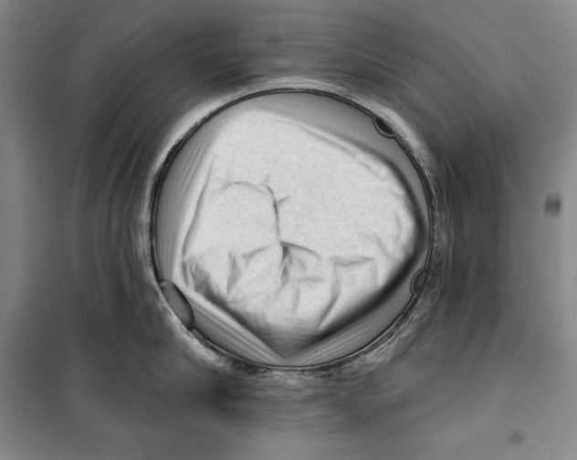 X0000099450910200806061103