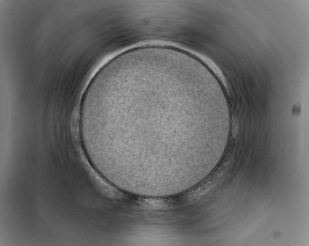 X0000099450911200806061103