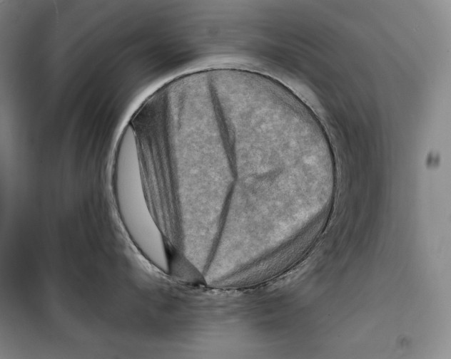 X0000099450912200806061103