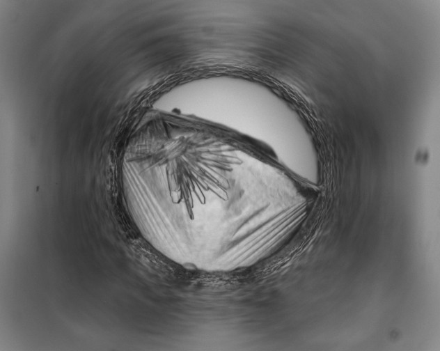 X0000099450917200806061102