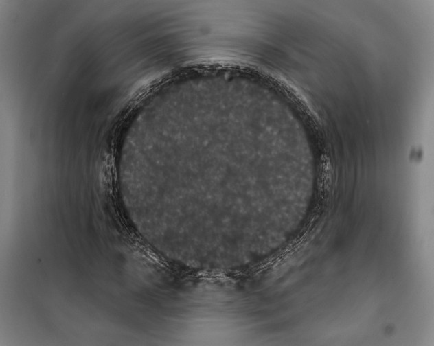 X0000099450918200806061102