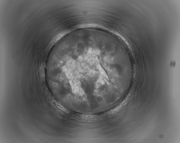 X0000099450921200806061102