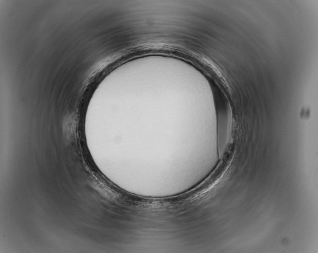 X0000099450922200806061102