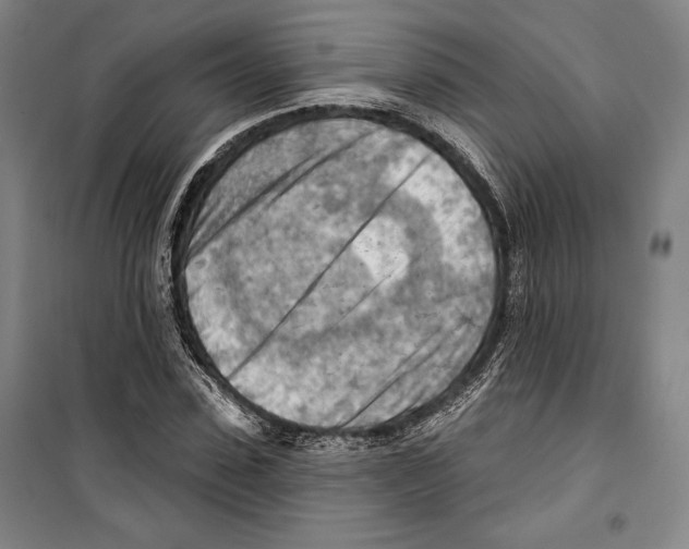 X0000099450923200806061102