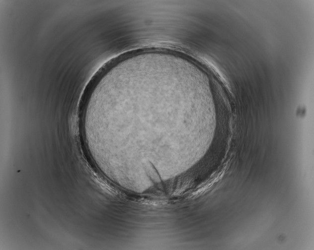 X0000099450924200806061102