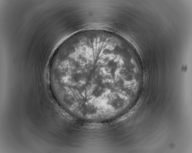 X0000099450925200806061102