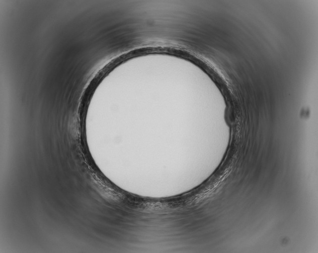 X0000099450927200806061102