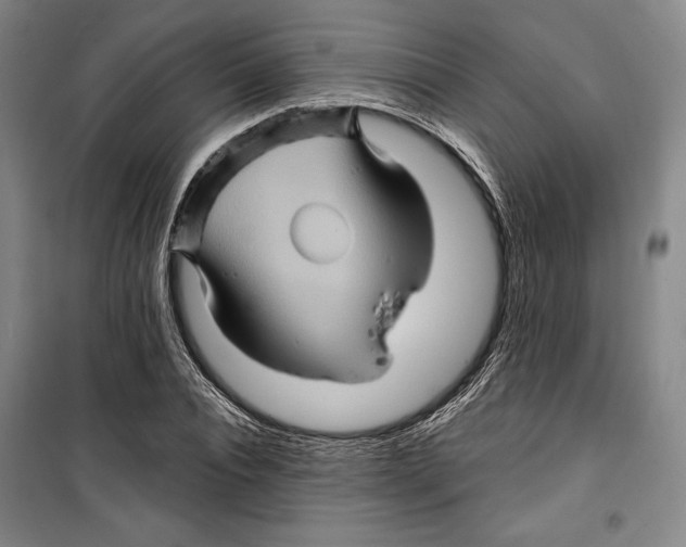 X0000099450928200806061102