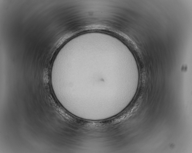 X0000099450929200806061102