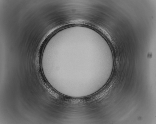 X0000099450931200806061102