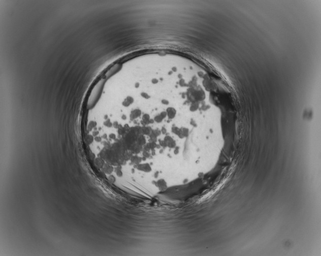 X0000099450932200806061102