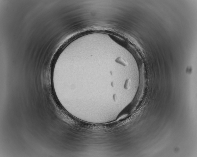 X0000099450934200806061102